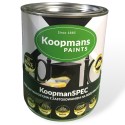 KoopmanSPEC farba antykorozyjna 0.25L 7016