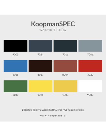 KoopmanSPEC farba antykorozyjna 0.25L 9005