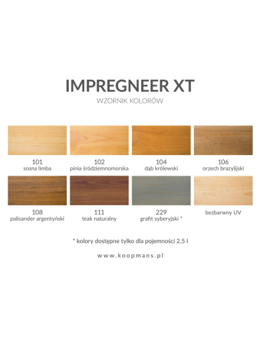 Koopmans 101 Lakierobejca IMPREGNEER XT sosna 2,5L