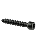 Wkręt tarasowy nierdzewny PRO GARDIN 4,2x25 mm do drewna i WPC 100szt