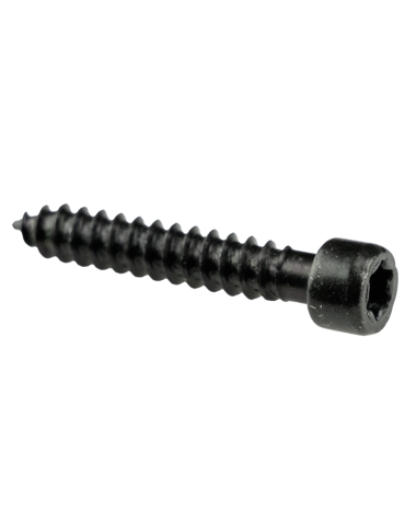 Wkręt tarasowy nierdzewny PRO GARDIN 4,2x25 mm do drewna i WPC 100szt