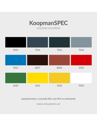 KoopmanSPEC RAL 9005 farba antykorozyjna 5L